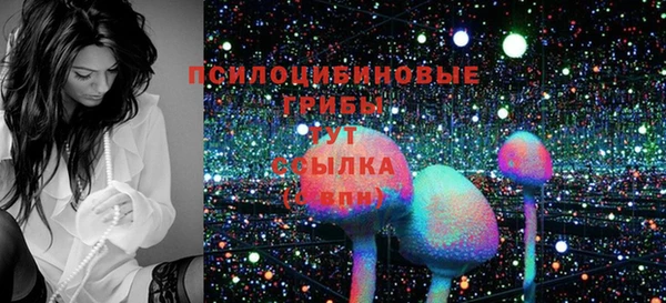 ECSTASY Нефтекумск