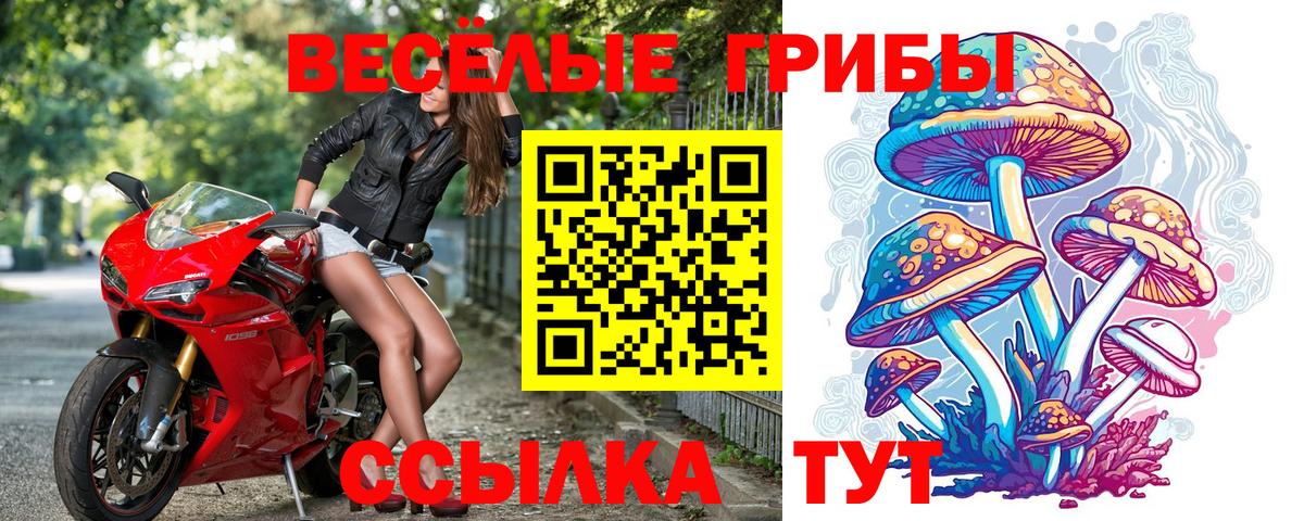 магазин  наркотиков  Псилоцибиновые грибы прущие грибы  Вход с VPN  Джанкой  Галлюциногенные грибы GOLDEN TEACHER 